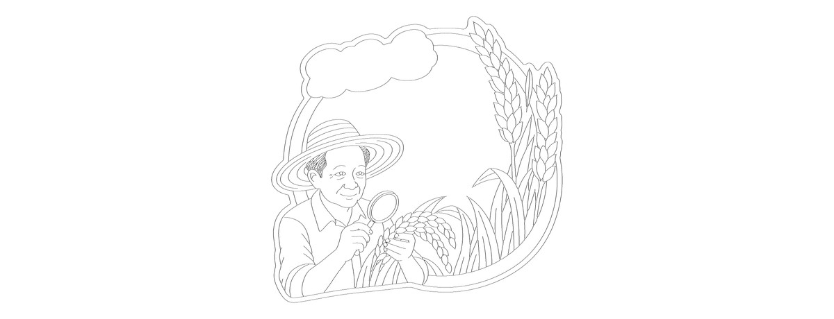 袁隆平介绍卡｜1款勾线涂色版预览