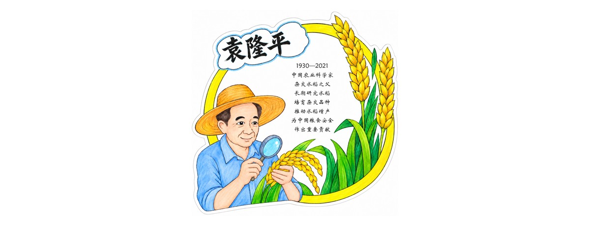 袁隆平介绍卡｜1款作品预览
